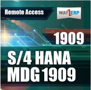 SAP S/4HANA 1909 MDG 1909 – SAP Plug and Play Hard Drives | SAP Remote Sns-Brigh10